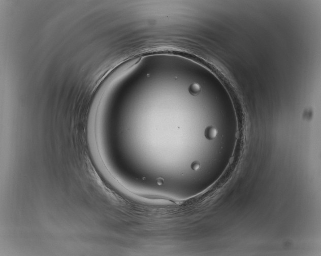 X0000110910793200907021434