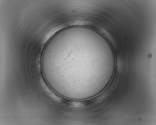 X0000110910794200907021434