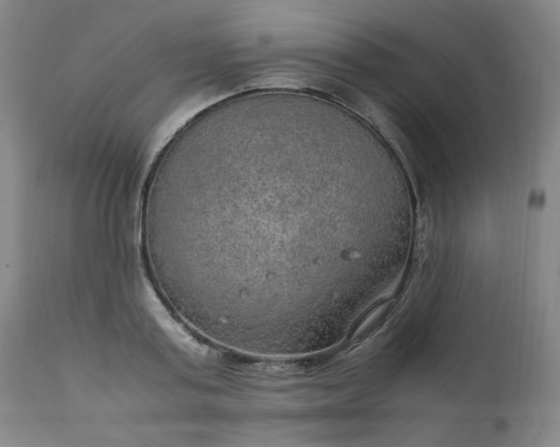 X0000110910795200907021434