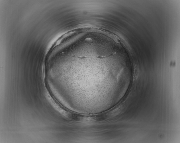 X0000110910796200907021434