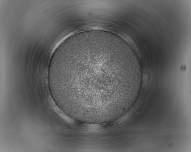 X0000110910798200907021434