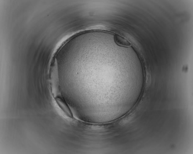 X0000110910800200907021434