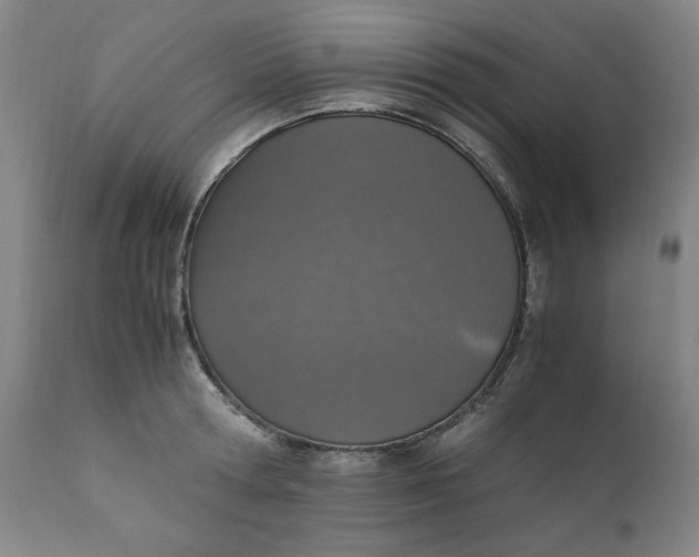 X0000110910802200907021433