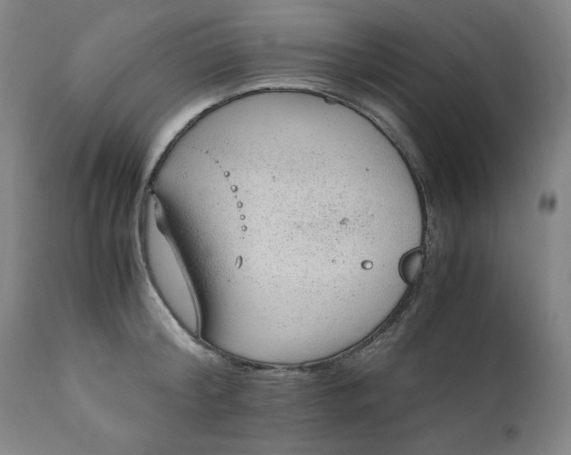 X0000110910804200907021433