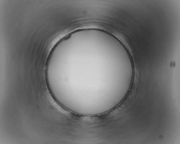 X0000110910805200907021433