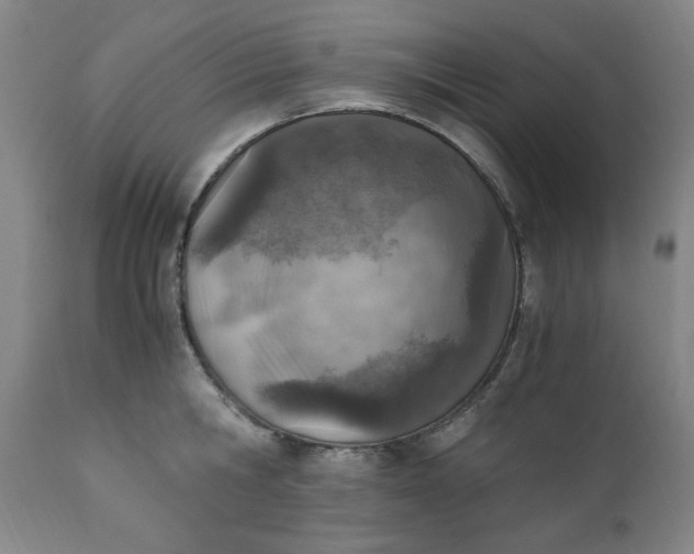 X0000110910806200907021433