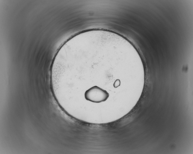 X0000110910807200907021433