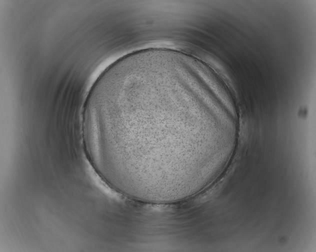 X0000110910808200907021433