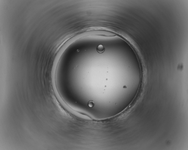 X0000110910809200907021433