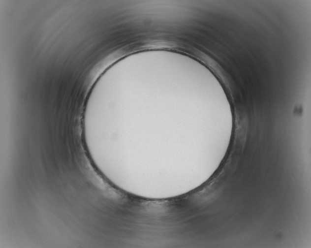 X0000110910810200907021433