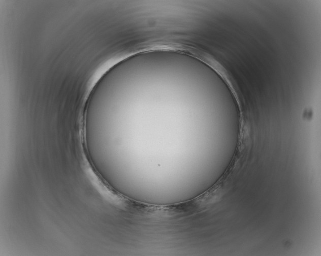 X0000110910811200907021433