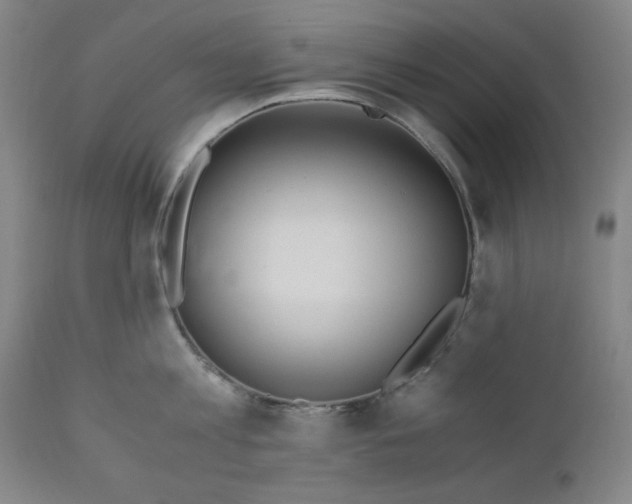 X0000110910813200907021433