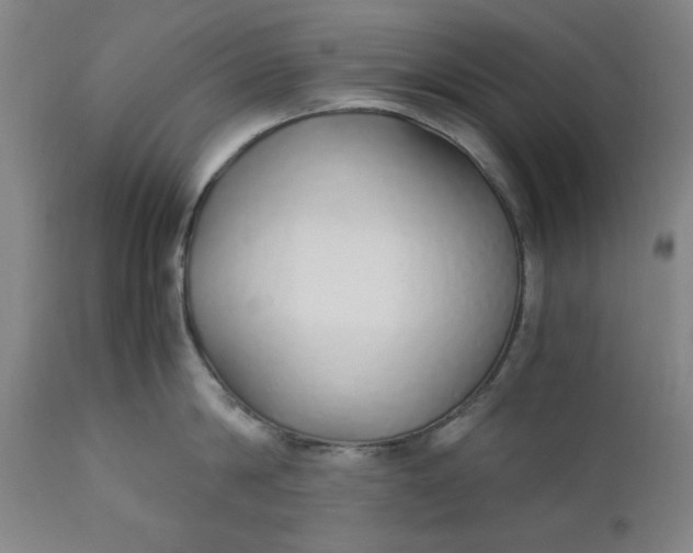 X0000110910814200907021433