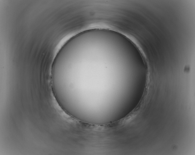 X0000110910815200907021433