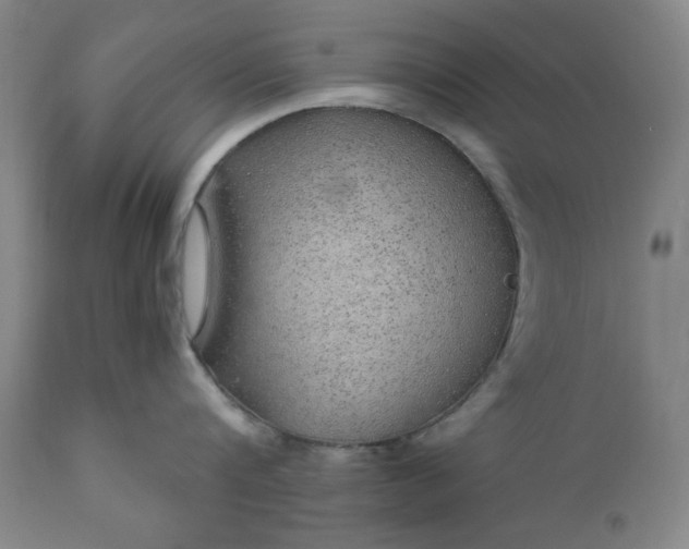 X0000110910816200907021433