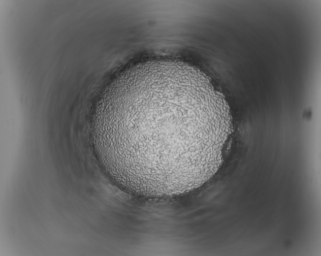 X0000110910817200907021433