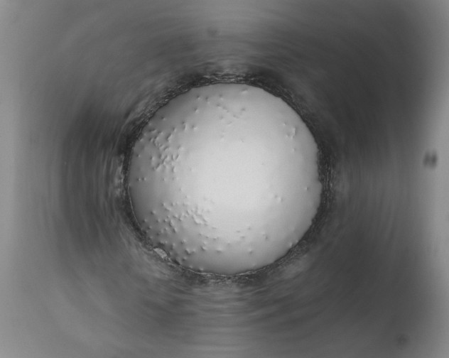 X0000110910818200907021433