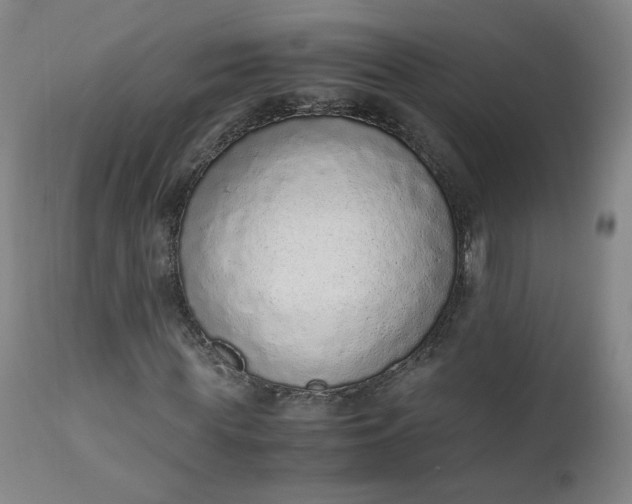 X0000110910819200907021433