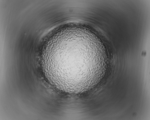 X0000110910822200907021433