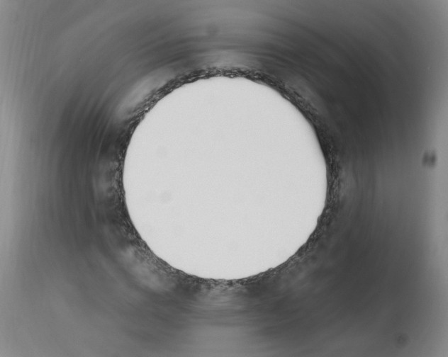 X0000110910824200907021433