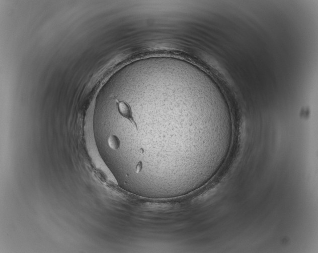 X0000110910825200907021433