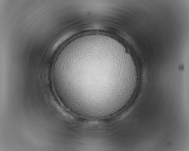 X0000110910826200907021433