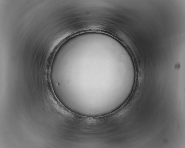 X0000110910827200907021433