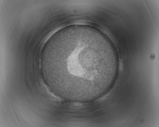 X0000110910829200907021433