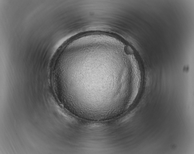 X0000110910830200907021433