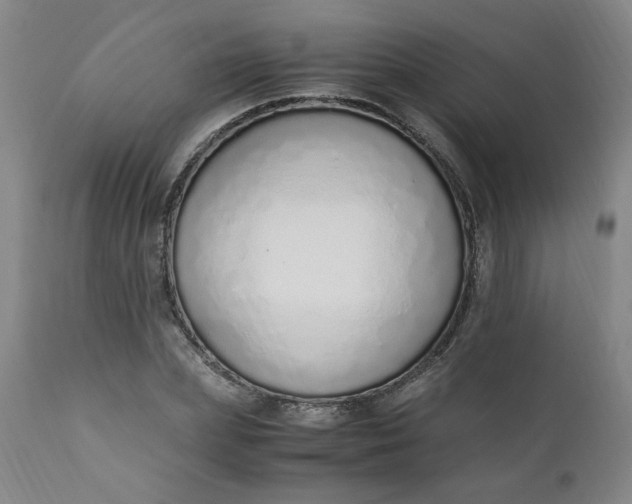 X0000110910831200907021433