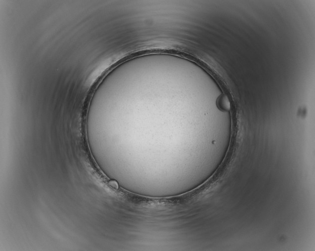 X0000110910834200907021433