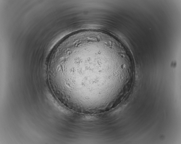 X0000110910835200907021433