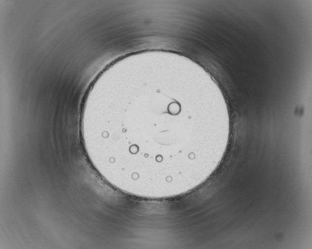 X0000110910836200907021433