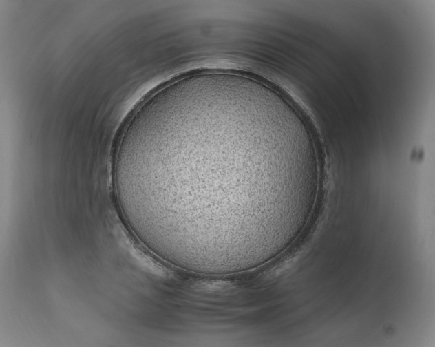 X0000110910837200907021433