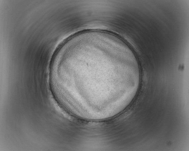 X0000110910840200907021433