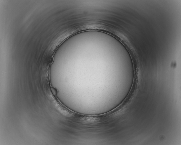 X0000110910841200907021433