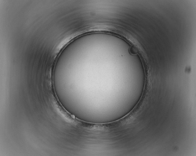 X0000110910842200907021433