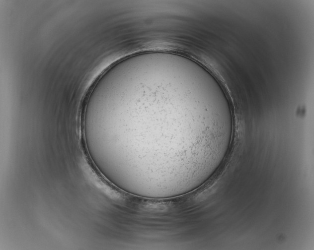 X0000110910843200907021433