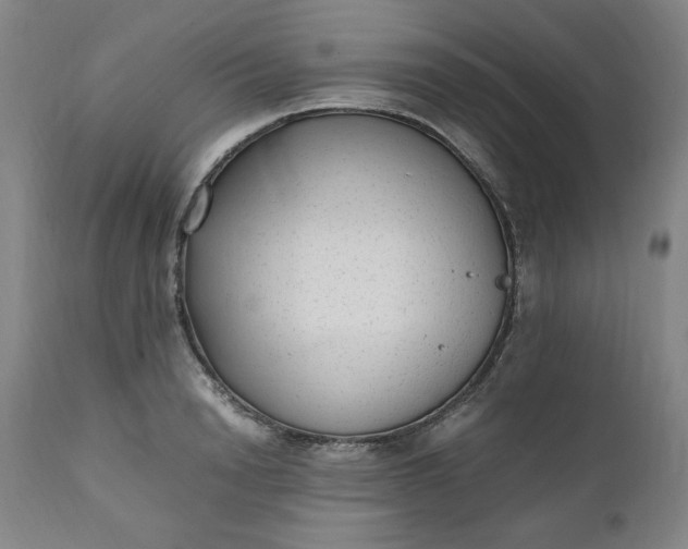 X0000110910846200907021433