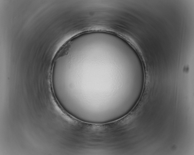 X0000110910847200907021433