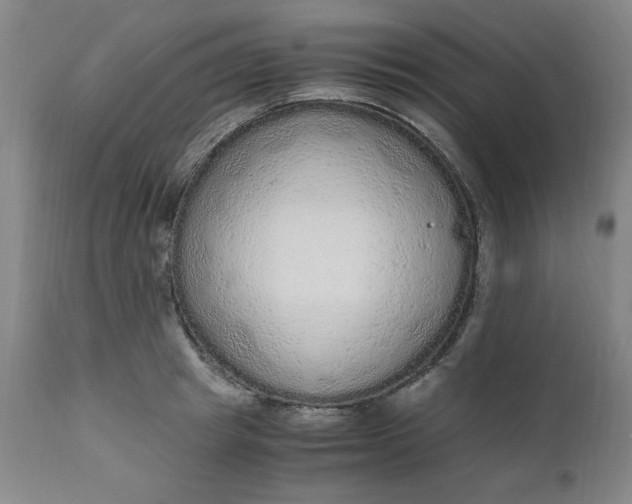 X0000110910849200907021433