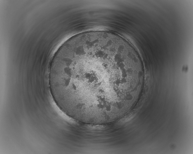 X0000110910851200907021433