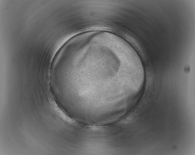 X0000110910852200907021433