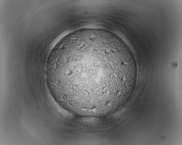 X0000110910853200907021433