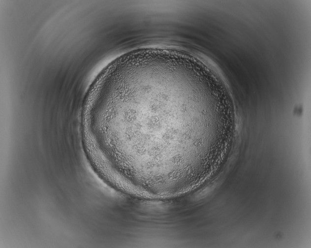 X0000110910855200907021433