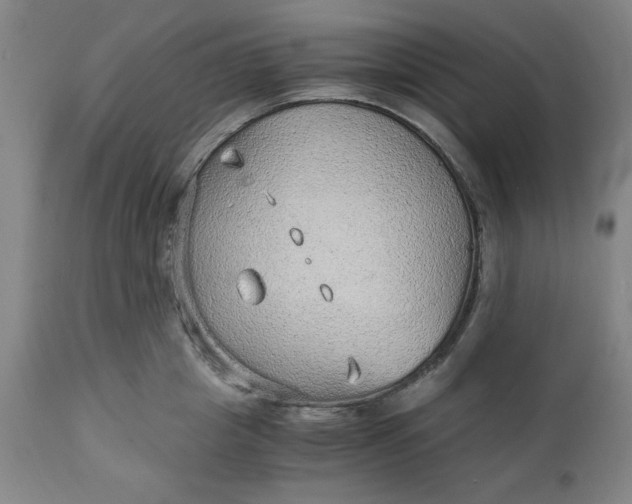 X0000110910857200907021433