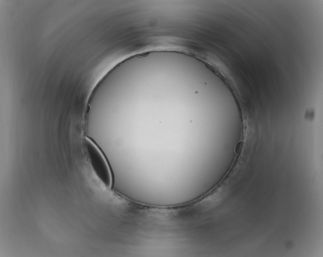 X0000110910860200907021433