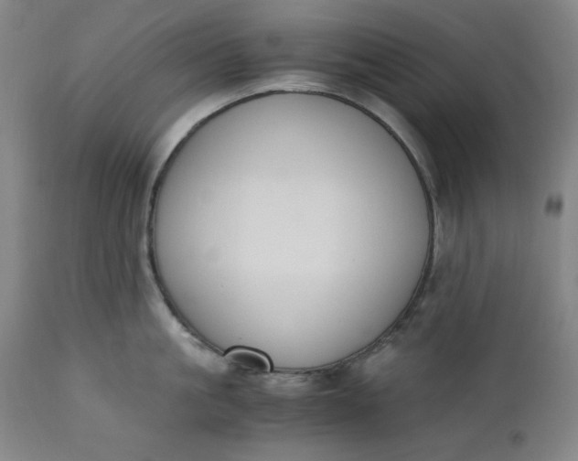 X0000110910861200907021433