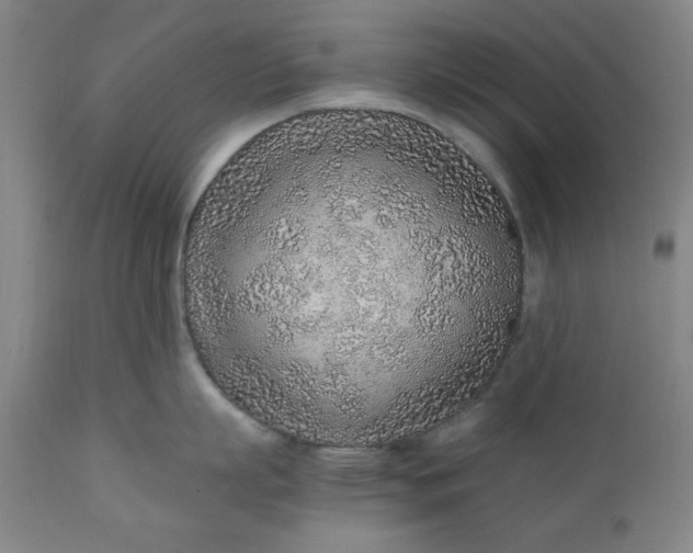 X0000110910863200907021433