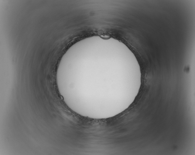 X0000110910865200907021433